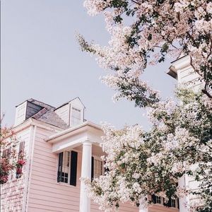 Meet your Posher, Audrey